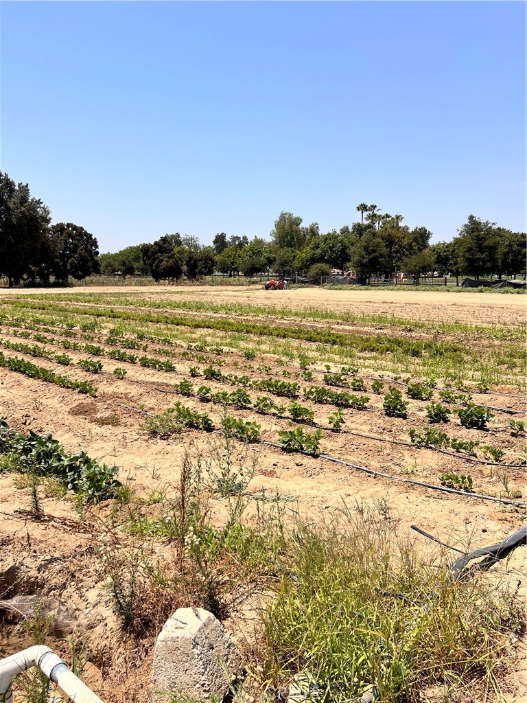 MLS #OC23188579 img 3