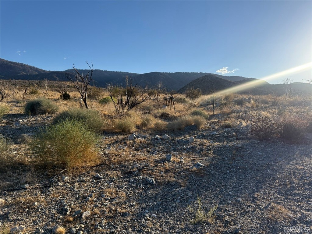 MLS #HD25232723 image #11