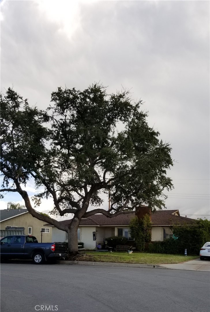728 N Frijo Avenue, West Covina, CA 91790