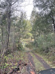 Detail Gallery Image 4 of 7 For 178 Bloomer Hill Rd, Berry Creek,  CA 95916 - – Beds | – Baths