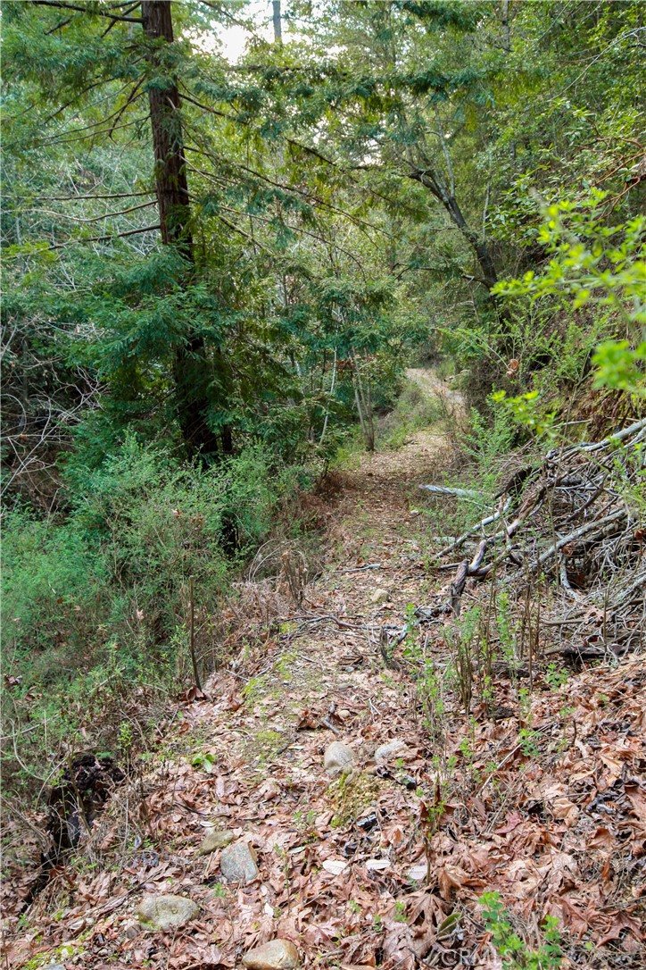 MLS #OC25221127 image #11