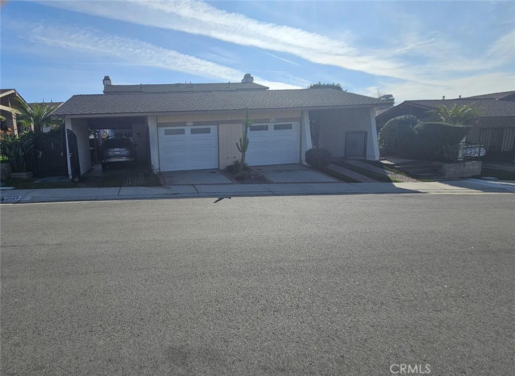 2368 Carrotwood