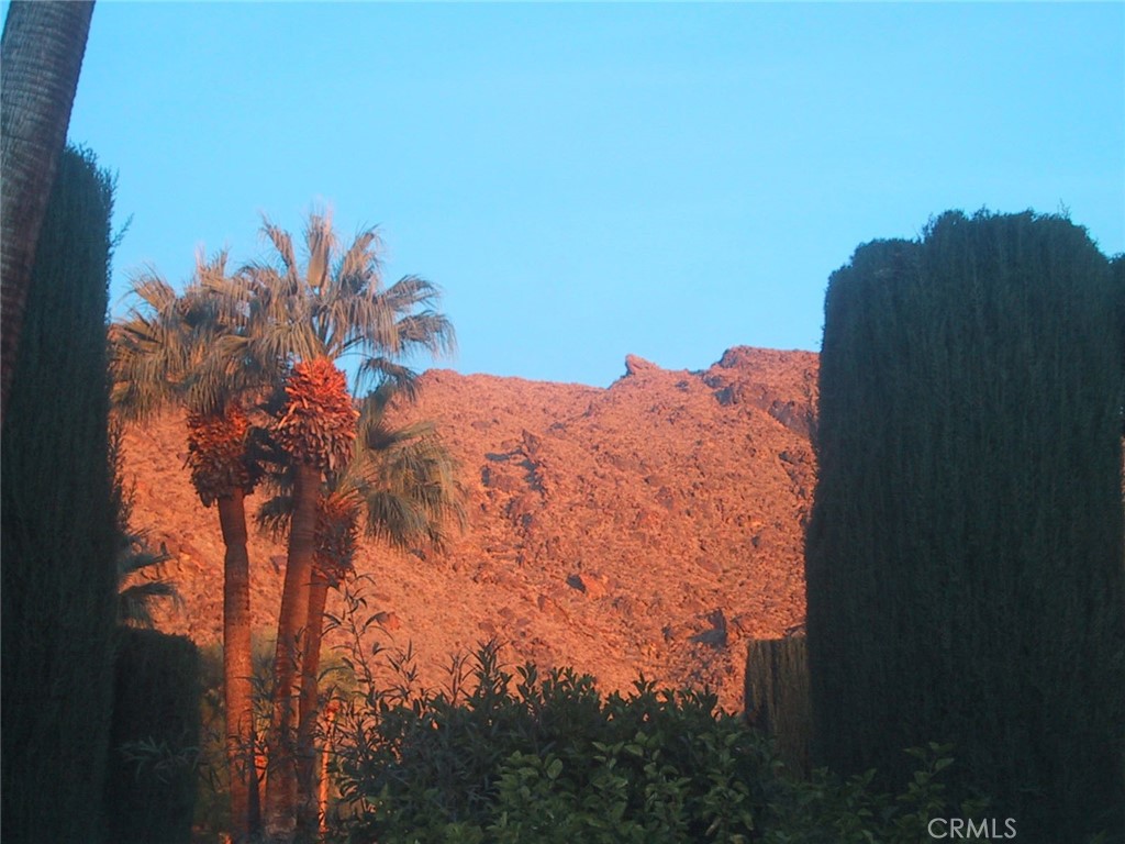 MLS #NP25217101 image #46