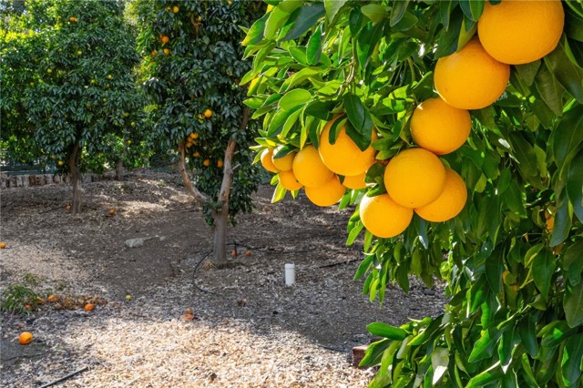 Detail Gallery Image 73 of 74 For 25805 Avenida Del Oro, Temecula,  CA 92590 - 4 Beds | 4/1 Baths