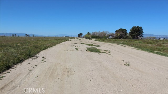 Detail Gallery Image 7 of 13 For 7693 Willow Ave, Rosamond,  CA 93560 - – Beds | – Baths