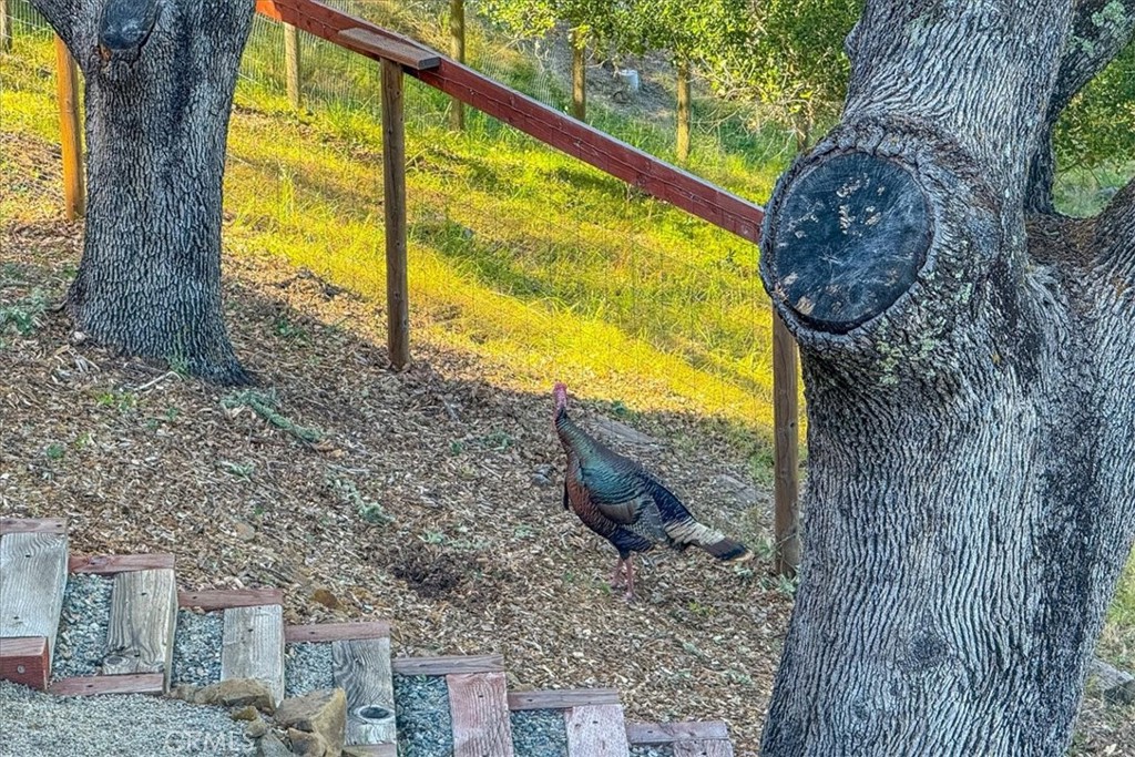 https://media.crmls.org/medias/988a5dc8-e89b-40d8-9750-dbc4853ca43c.jpg?preset=X-Large
