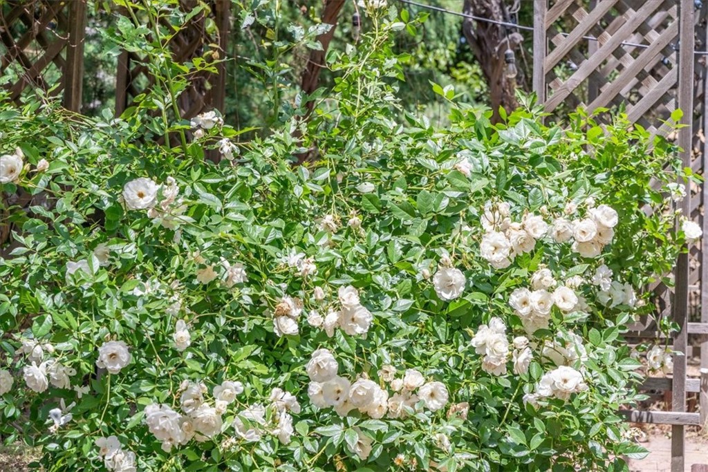 https://media.crmls.org/medias/988d3afb-b4f5-4da9-92b3-433c89f96ac7.jpg?preset=X-Large
