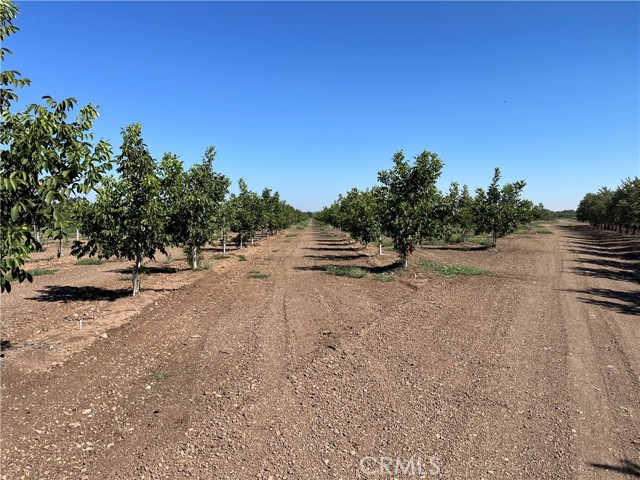 Detail Gallery Image 17 of 18 For 0 Kelly Ln, Chico,  CA 95973 - – Beds | – Baths