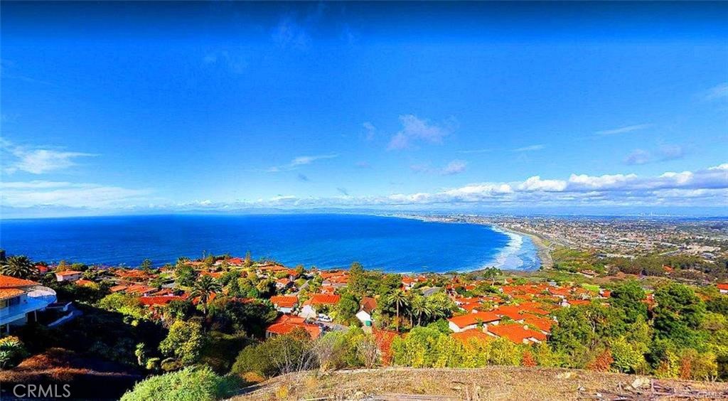 MLS #SW25229669 image #6