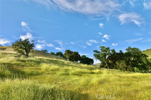 Detail Gallery Image 5 of 13 For 9809 Steelhead Rd, Paso Robles,  CA 93446 - – Beds | – Baths