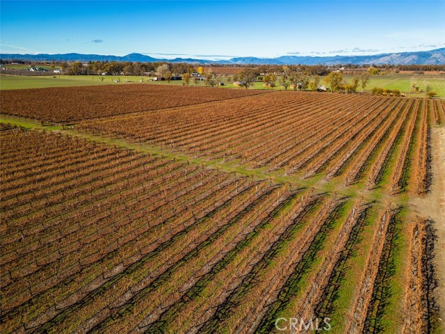 Detail Gallery Image 18 of 26 For 4150 Gaddy Ln, Kelseyville,  CA 95451 - – Beds | – Baths