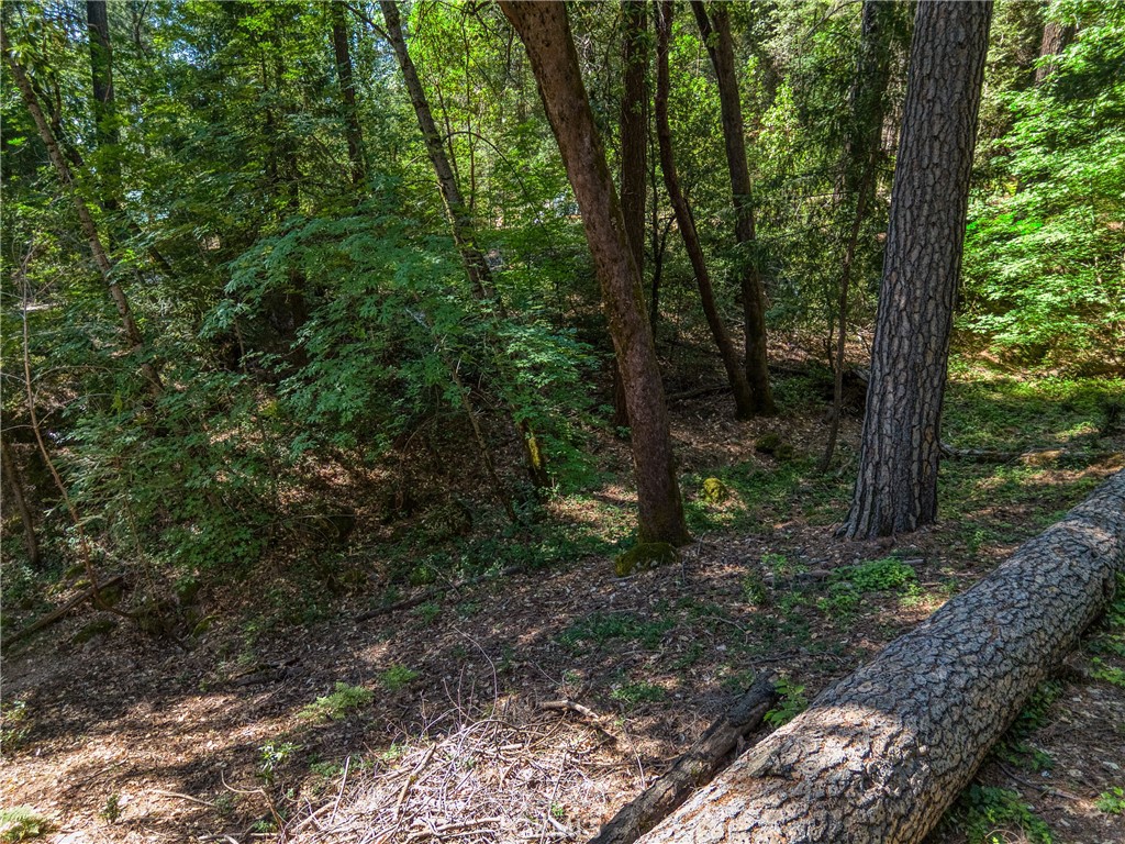 https://media.crmls.org/medias/989736fa-8fc0-4287-a28a-7abd835782c9.jpg?preset=X-Large