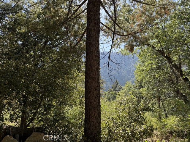 0 Ca-38, Angelus Oaks CA: https://media.crmls.org/medias/9899e3fb-3d3f-4101-aceb-1f2ec521807d.jpg
