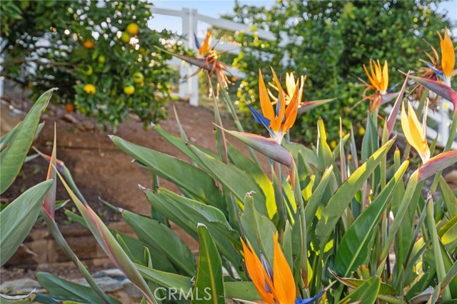 Detail Gallery Image 57 of 60 For 40055 Valle Vista, Murrieta,  CA 92562 - 4 Beds | 4 Baths