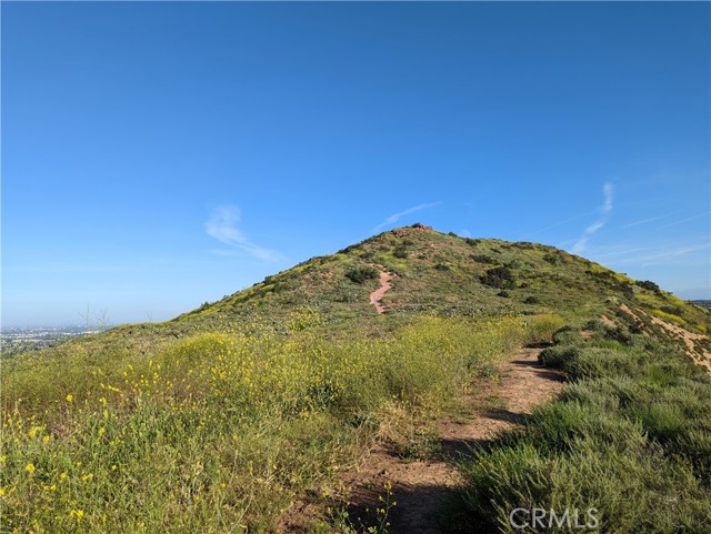 5927 E Creekside Avenue, Orange CA: https://media.crmls.org/medias/989a1222-63ef-469b-add3-acb3f1f55fa9.jpg