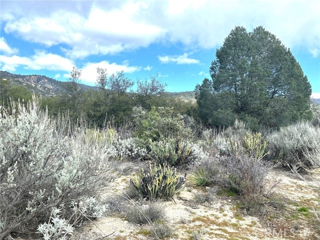 Detail Gallery Image 18 of 29 For 0 Oak Rd, Anza,  CA 92539 - – Beds | – Baths