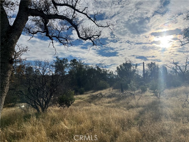 Detail Gallery Image 18 of 69 For 4934 Guadalupe Fire, Catheys Valley,  CA 95306 - – Beds | – Baths