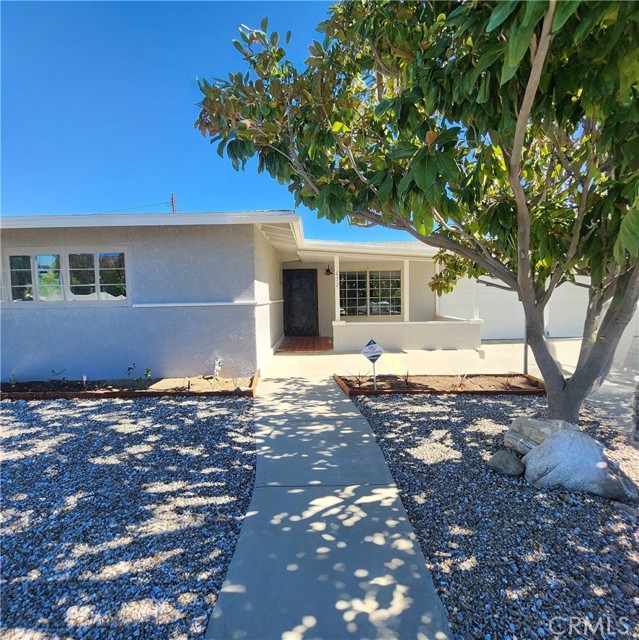 Front Image Thumbnail for CRIV25236778