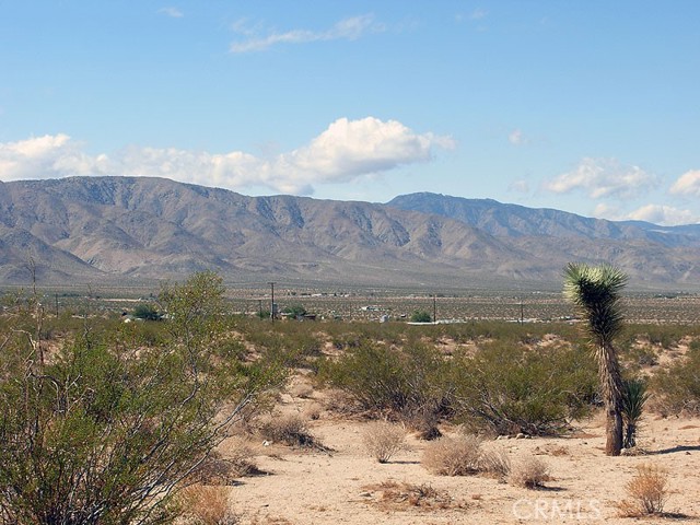 Detail Gallery Image 5 of 15 For 775 Manzanita Rd, Johnson Valley,  CA 92285 - – Beds | – Baths