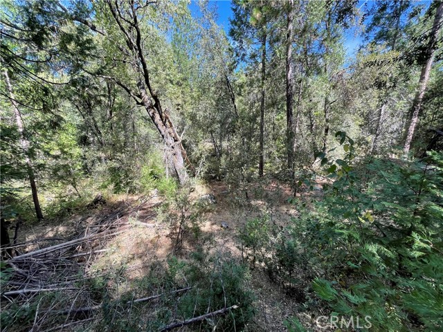 Detail Gallery Image 12 of 19 For 5693 Creel Rd, Mariposa,  CA 95338 - – Beds | – Baths