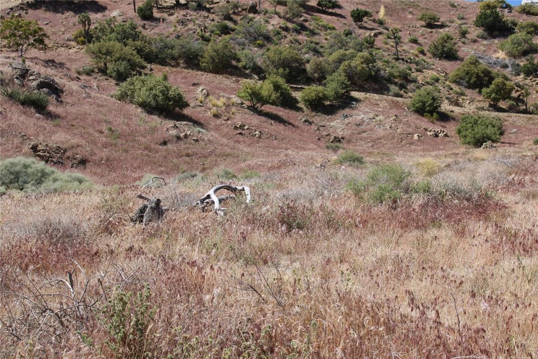 Detail Gallery Image 15 of 24 For 15 Eagles Nest, Yucca Valley,  CA 92284 - – Beds | – Baths