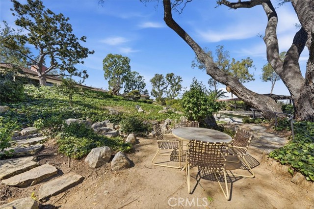 Image 52 of 66 For 100 Saddleback