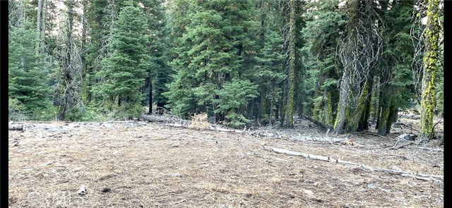 0 California Pines Blvd, Alturas CA: https://media.crmls.org/medias/98ae39da-066c-4a80-ae65-e07b9ea6fba6.jpg