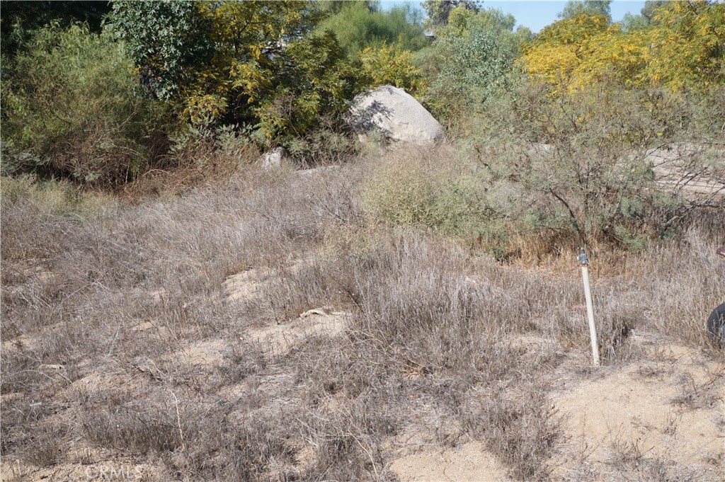 MLS #IV25249258 image #5