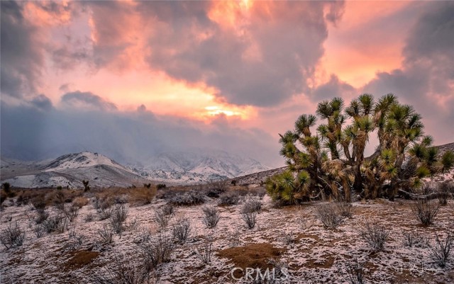 Detail Gallery Image 49 of 59 For 3712 Piute Hill Rd, –,  CA 93240 - – Beds | – Baths