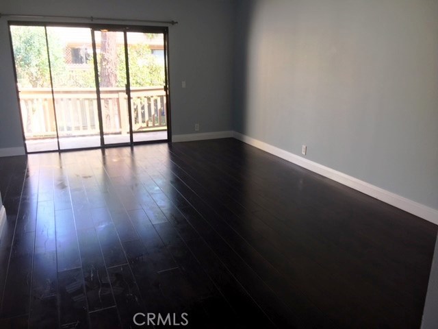443 Orange Blossom 217
