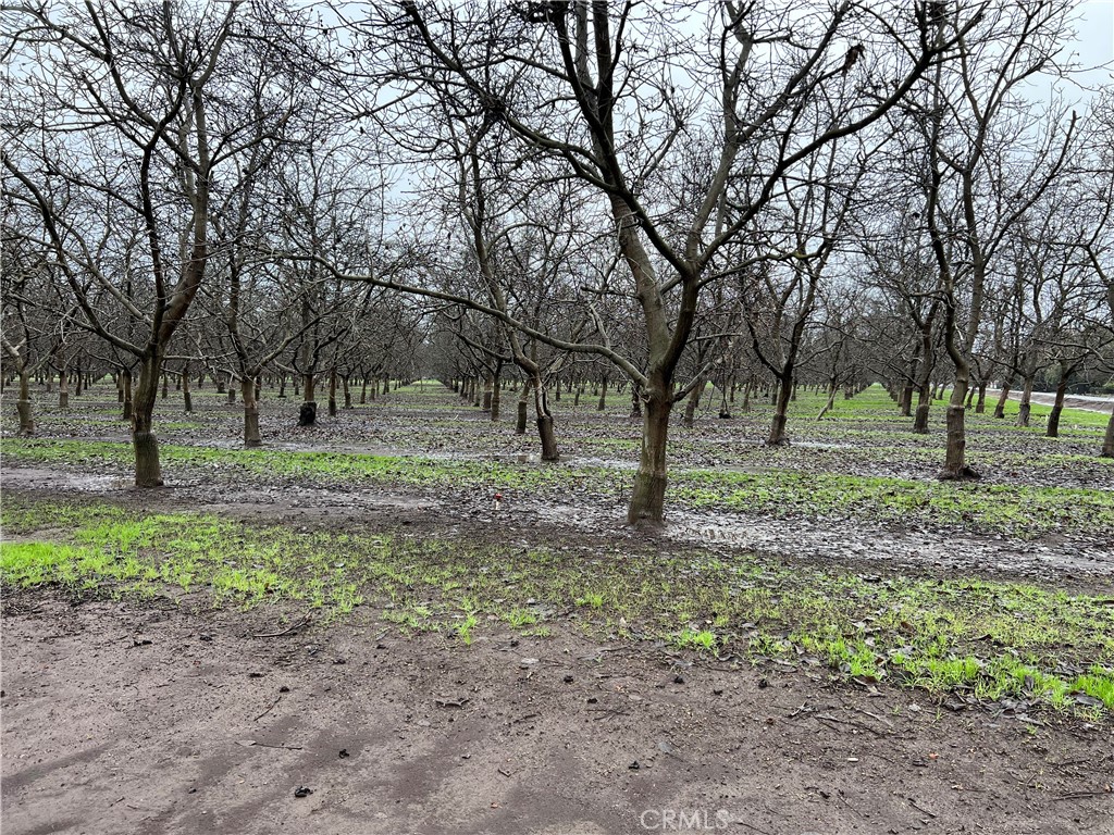 0 Orchard Blossom Lane, Chico, CA 95973