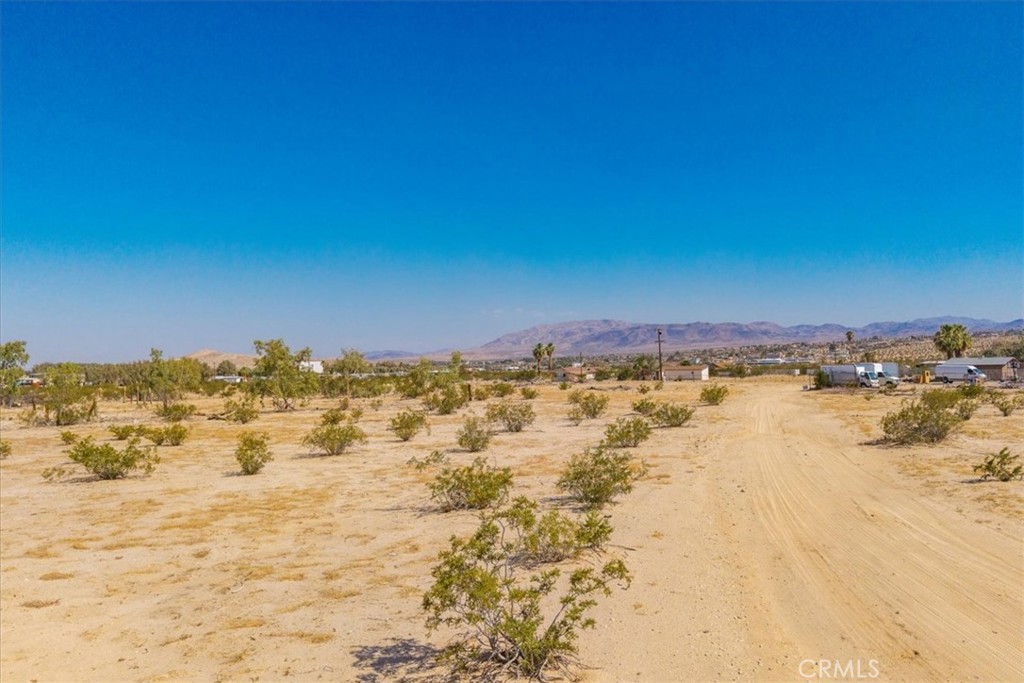 MLS #JT25177017 img 2