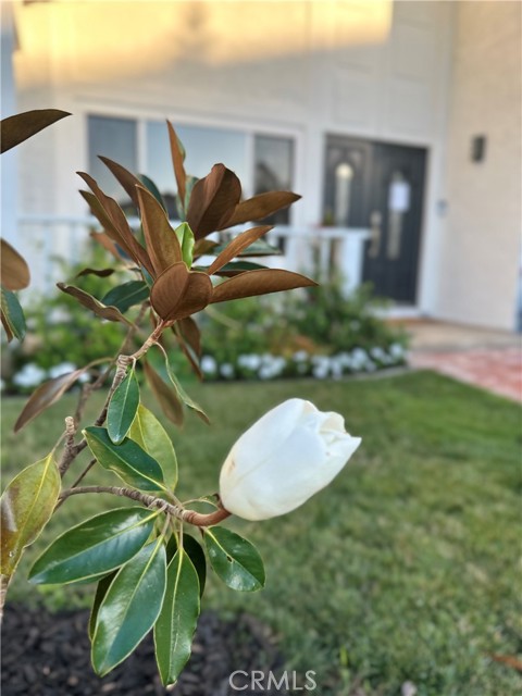 23772 Singapore Street, Mission Viejo CA: https://media.crmls.org/medias/98c2b19f-42d4-4e42-bc4e-ef1c032517cf.jpg