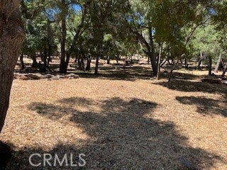 7872 Soda Bay Road, Kelseyville CA: https://media.crmls.org/medias/98c3f5f6-9b8f-41d2-ab75-c5ed4246a80c.jpg