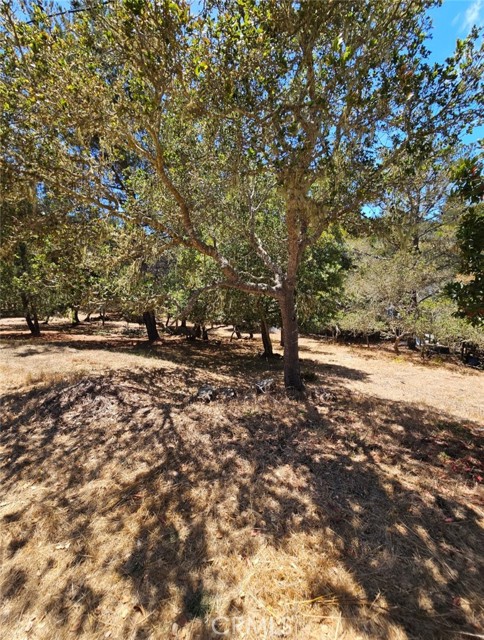 Detail Gallery Image 4 of 8 For 0 Tully Pl, Cambria,  CA 93428 - – Beds | – Baths