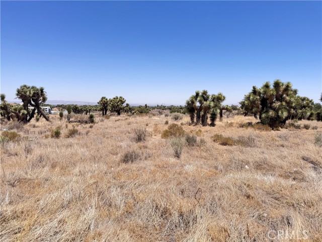 0 Sunnyslope Road, Phelan CA: https://media.crmls.org/medias/98c932c7-6dc3-48df-9070-76e4161daece.jpg