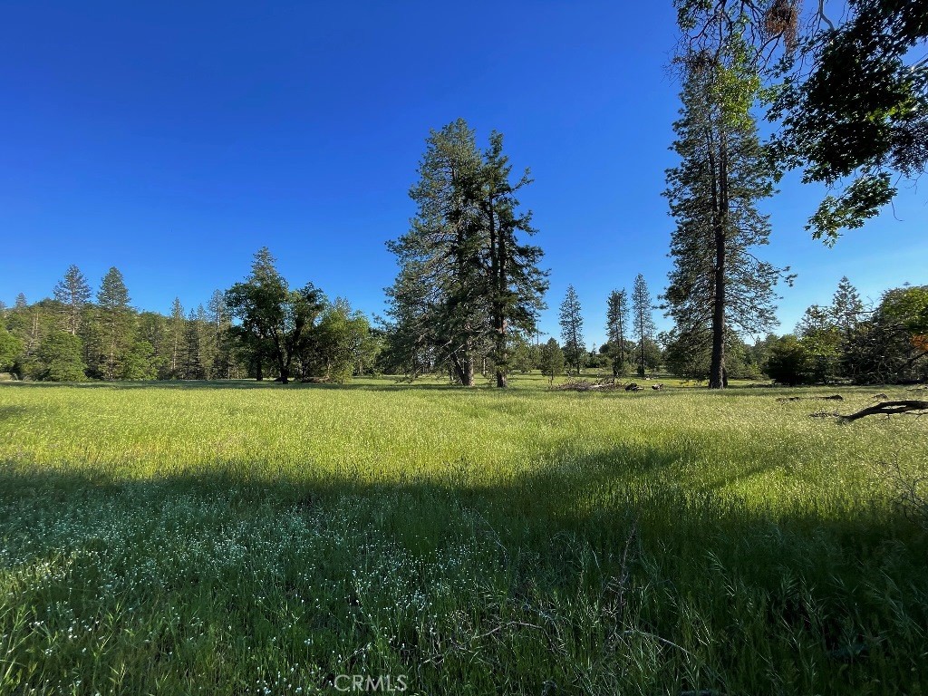 2737 E Westfall Road, Mariposa, CA 95338