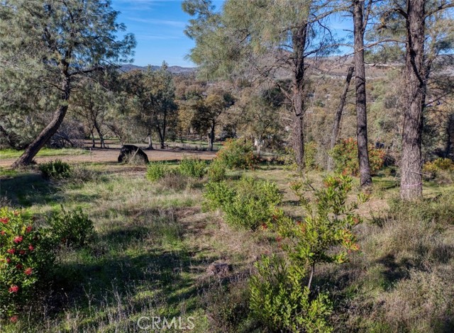 Detail Gallery Image 4 of 18 For 3522 Filmore Ave, Clearlake,  CA 95422 - – Beds | – Baths