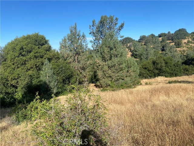 0 State Hwy 140, Mariposa CA: https://media.crmls.org/medias/98d06554-e88e-43ad-b289-0ec44d06dfce.jpg