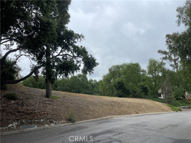 Image 3 for 16261 Oak Tree Crossing, Chino Hills, CA 91709