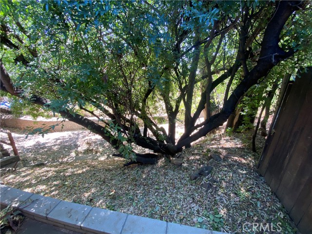 11748 Douglas, Yucaipa CA: https://media.crmls.org/medias/98d6e971-68b4-4378-982f-46dd4da5dcab.jpg