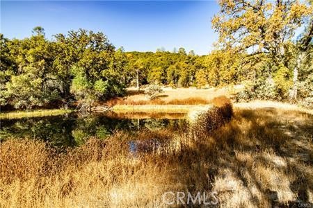 Detail Gallery Image 37 of 54 For 4816 Stumpfield Mountain Rd, Mariposa,  CA 95338 - 2 Beds | 2 Baths