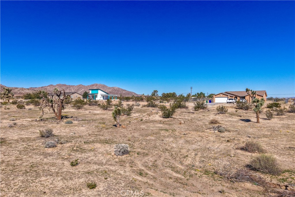 MLS #JT25246842 image #10