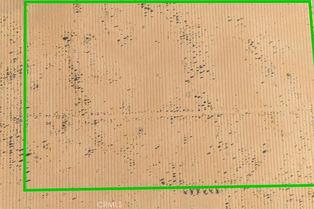 MLS #JT25235000 image #36