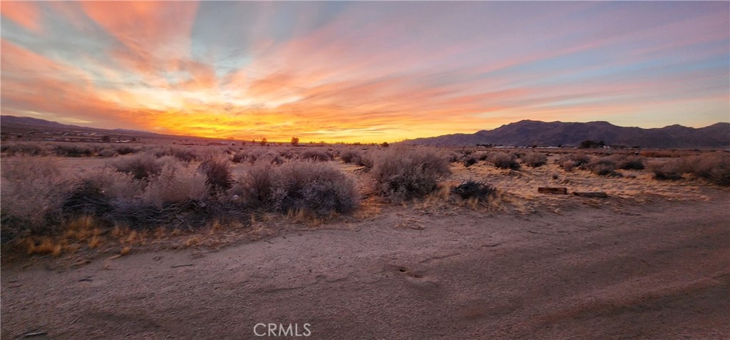 MLS #IV25049226 img 11