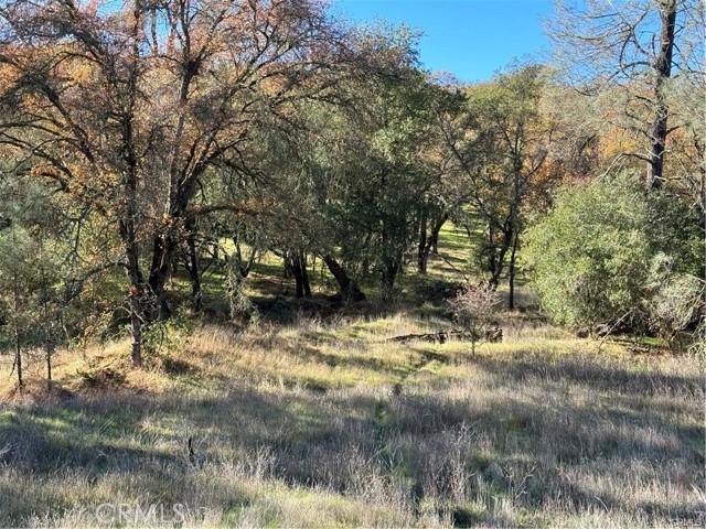 Detail Gallery Image 12 of 17 For 43 Alta Mira Ln, Oroville,  CA 95966 - – Beds | – Baths