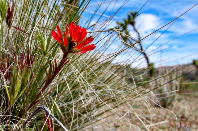 Detail Gallery Image 14 of 33 For 27 Vista Rd, Pioneertown,  CA 92356 - – Beds | – Baths