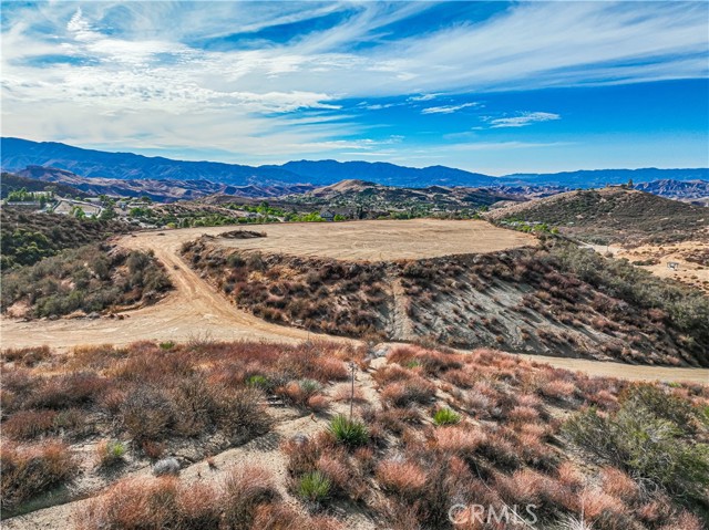 Detail Gallery Image 8 of 29 For 0 Teller Ave, Agua Dulce,  CA 91390 - – Beds | – Baths