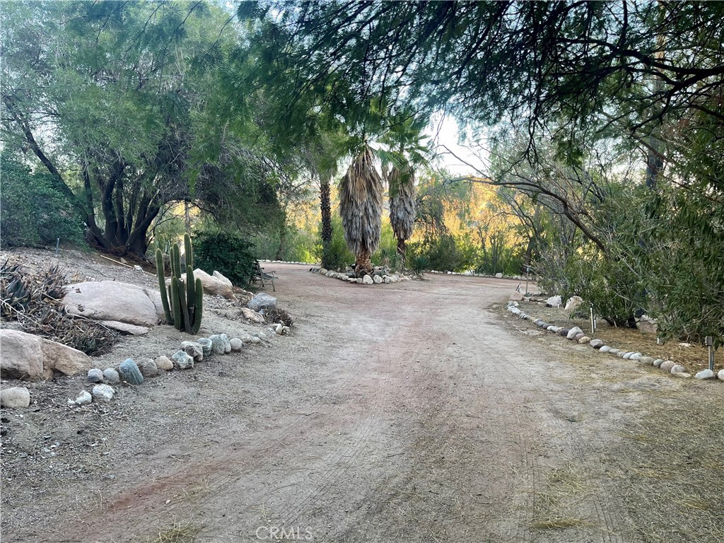 MLS #JT25223731 image #6