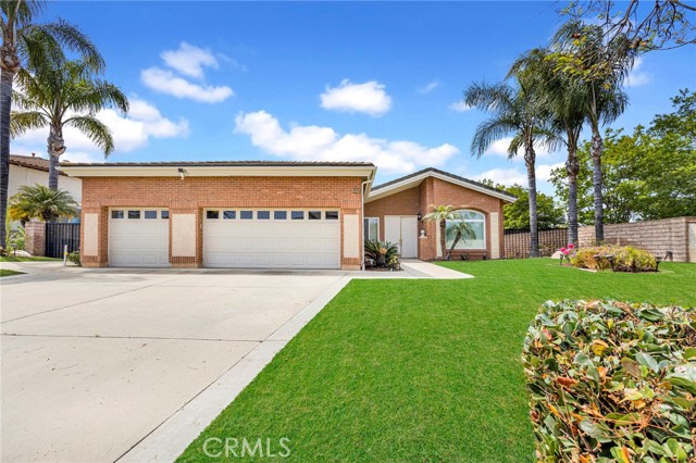 504 Alta Mira Street photo 4